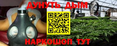 прущие крисы Ставрополь
