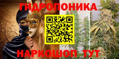 прущие крисы Ставрополь